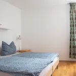 Rent 2 bedroom apartment of 50 m² in Prague