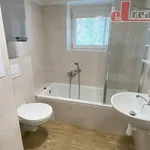 Pronajměte si 2 ložnic/e byt o rozloze 49 m² v Hranice