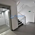 Rent 3 bedroom apartment of 60 m² in SZCZECIN