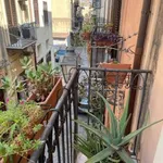 Rent 5 bedroom apartment of 140 m² in Palermo