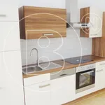 Rent 2 bedroom apartment of 68 m² in Vienna