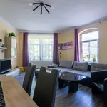 Rent 1 bedroom apartment of 70 m² in Dresden