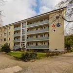 Rent 2 bedroom apartment of 57 m² in Berlin