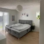 Rent 4 bedroom house of 95 m² in Daugård