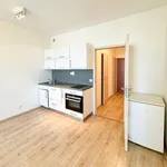 Rent 1 bedroom apartment of 33 m² in Praha