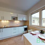 Rent 2 bedroom apartment of 40 m² in Brno