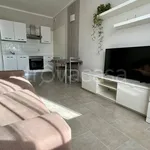 Rent 2 bedroom apartment of 40 m² in Padova