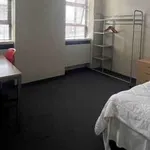 Rent 3 bedroom student apartment in Wellington