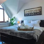 Rent 3 bedroom apartment of 60 m² in Wuppertal