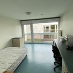 Appartement de 23 m² avec 1 chambre(s) en location à Amiens