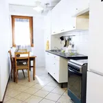 Rent 2 bedroom apartment in bologna