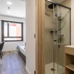 Rent 1 bedroom apartment in madrid