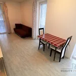 Rent 1 bedroom apartment in Brno