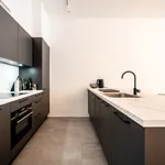 Rent 2 bedroom apartment of 100 m² in Brussels