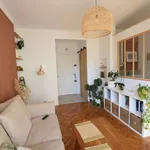 Rent 1 bedroom apartment of 24 m² in Nice