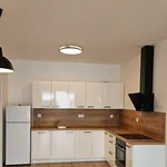 Rent 2 bedroom apartment of 58 m² in Pilsen