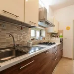 Rent 2 bedroom apartment of 60 m² in Peschici