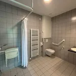 Rent 1 bedroom apartment in Hasselt