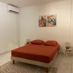 Rent 2 bedroom apartment of 48 m² in Cayenne