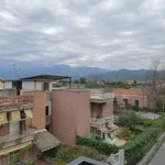 Rent 3 bedroom apartment of 70 m² in Schisò