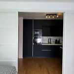 Pronajměte si 1 ložnic/e byt o rozloze 45 m² v Prague