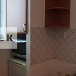 Rent 1 bedroom apartment of 30 m² in Zlín