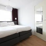 Rent 3 bedroom apartment of 81 m² in Groningen