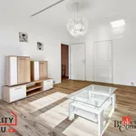 Rent 2 bedroom apartment in Sokolov