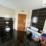 Rent 1 bedroom house of 726 m² in Jenišov