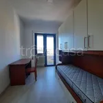 Rent 3 bedroom apartment of 60 m² in Frosinone