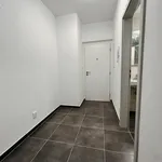 Rent 1 bedroom apartment in Plzeň