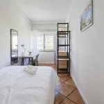 Rent a room in lisbon