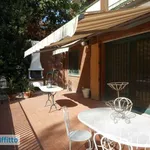 Rent 3 bedroom house of 80 m² in Bologna