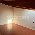 Rent 2 bedroom apartment of 50 m² in Bologna