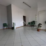 Rent 3 bedroom apartment of 100 m² in L'Aquila