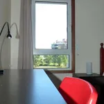 Rent a room in porto