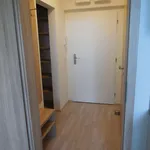 Rent 1 bedroom apartment of 30 m² in Brno