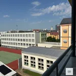 Rent 4 bedroom apartment in Hradec Králové