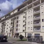 Rent 2 bedroom apartment of 50 m² in Aprilia