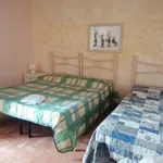 Rent 1 bedroom house of 25 m² in Pisa