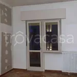 Rent 3 bedroom apartment of 75 m² in Torino