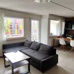 Rent 4 bedroom apartment in Bern