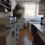 Rent 2 bedroom apartment in Havlíčkův Brod