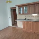 Rent 1 bedroom apartment in Teplice