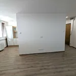 Rent 1 bedroom apartment in Most