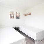 Rent 2 bedroom apartment in Brno