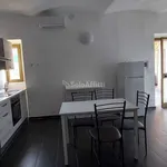 Rent 1 bedroom apartment of 35 m² in Turin