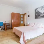 Rent 6 bedroom apartment in Valencia