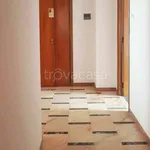 Rent 4 bedroom apartment of 100 m² in Isernia