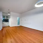 Pronajměte si 2 ložnic/e byt o rozloze 64 m² v Pilsen